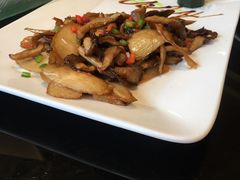 -新南华大酒店(广中店)