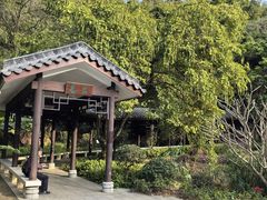 -广州市白云山风景名胜区