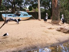 -费瑟代尔野生动物园