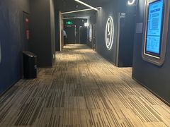 -万象影城(石家庄万象城IMAX激光店)