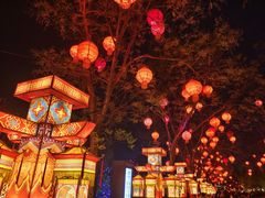 -清明上河园