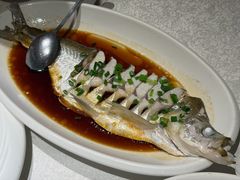 豉油蒸白水鱼-金美华轩(东方路齐鲁店)
