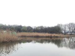 -西湖风景区-江洋畈生态公园