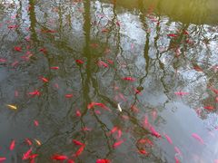 -镇江市南山风景名胜区竹林景区