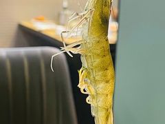 -苏格里岛自助海鲜烤肉(青秀万达店)