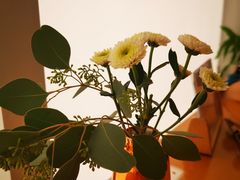 -WOKKA by艮上(中海环宇荟店)