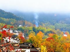 -塔川景区