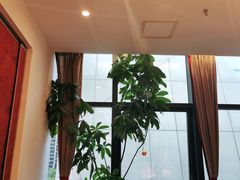 靠窗位-院8里·小乐园家常味川菜(鹭洲里店)