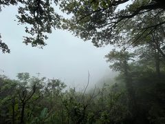 -广州市白云山风景名胜区