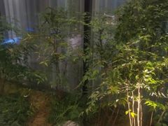 -1718海鲜姿造(苏宁宴请臻选店)