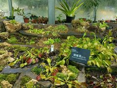 -国家植物园南园