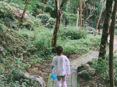 -吴山景区