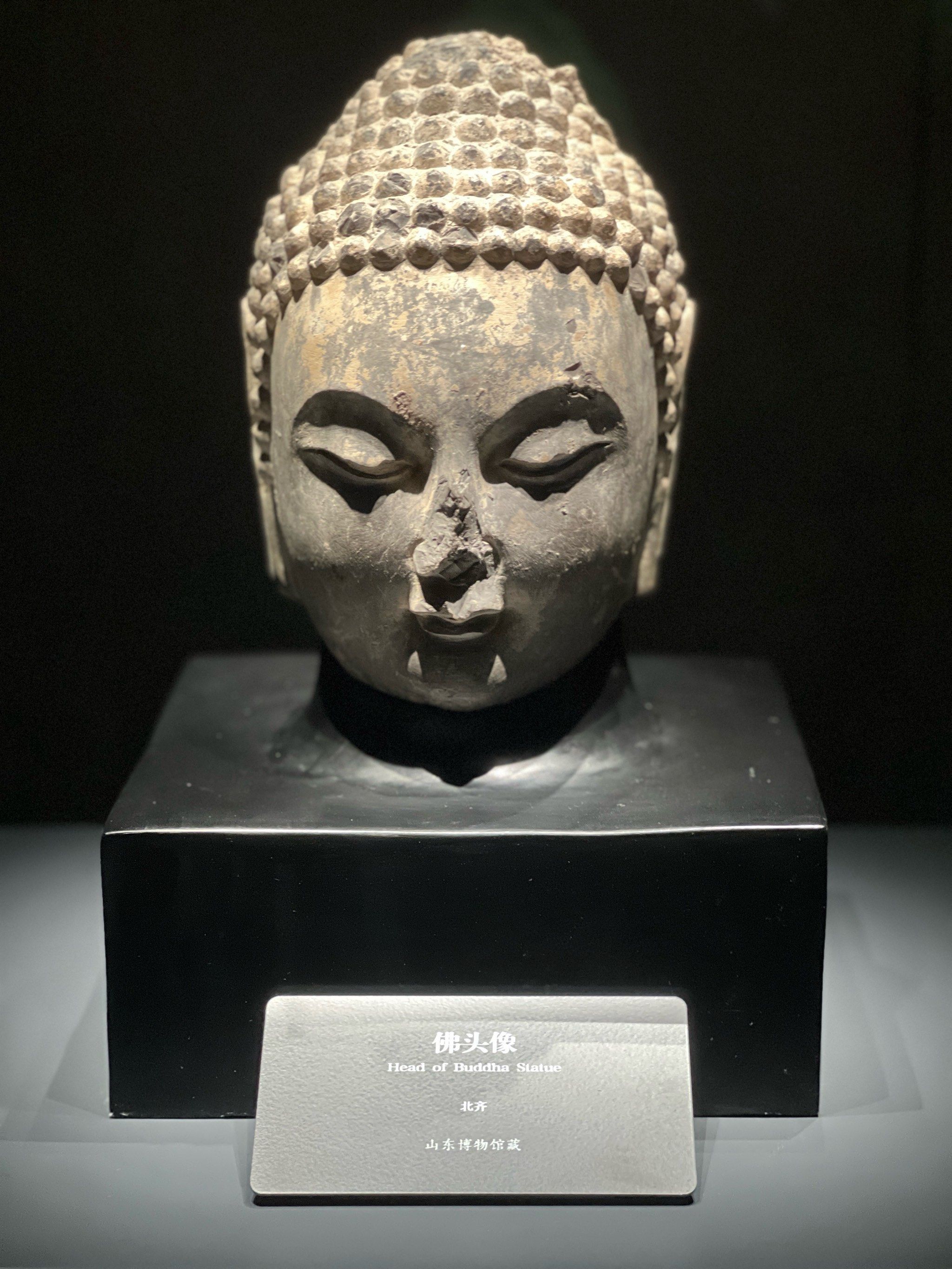 佛首在外表呈现上最为明显便是肉髻,白毫,头光等