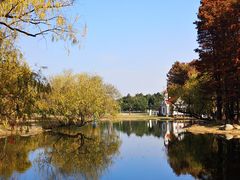 -上海共青森林公园