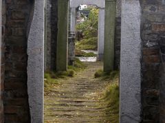 -杏花村文化旅游区