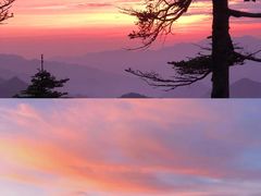 -秦岭风景区