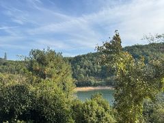 -逸廊大堂吧-下午茶·简餐-千岛湖自由洲际殿