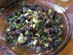 -全乐鱼馆·淳牌有机鱼直营店