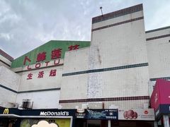 -卜蜂莲花(杨高南路店)