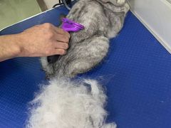 -佳雯宠物医院(金华南路分院)