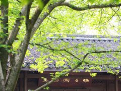 -青竺·青竹茶舍(断桥店)