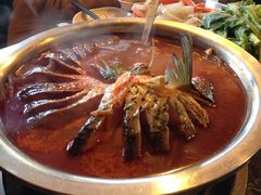 -芦苇荡·酸汤鱼(回龙观店)