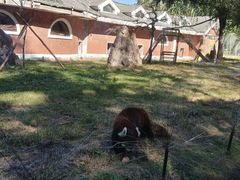 -哈尔滨北方森林动物园