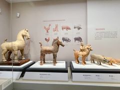 -重庆中国三峡博物馆(重庆博物馆)