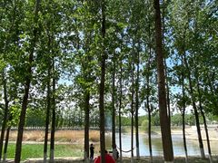 -天津武清北运河郊野公园房车露营地