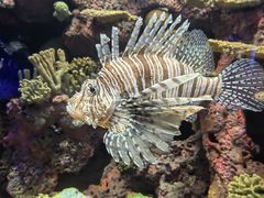 -上海海洋水族馆