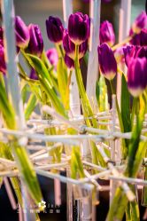 -三色锦婚礼定制