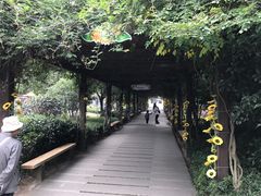 -白马涧龙池景区