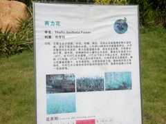 -芒洲湿地公园
