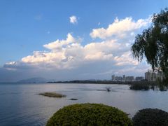 -野菌皇海景野生菌火锅(滨海大道店)