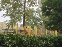 -杭州少年儿童公园