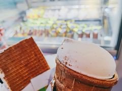 -沃洛格达(万象城n次方店)