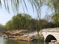 -大兴滨河森林公园