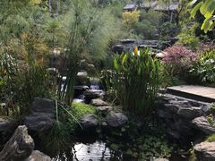 -腾冲洞山温泉村