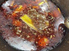 -秦巴石锅鱼(文化南路店)