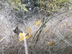 -苏州河梦清园环保主题公园