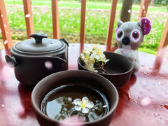 -广东花都香草世界旅游度假区