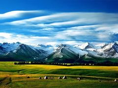 -居丽装饰空间设计(奉贤店整合到徐汇总部)