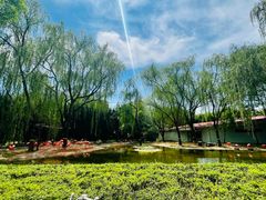 -石家庄市动物园