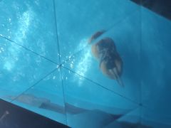 -青岛东方影都融创水世界