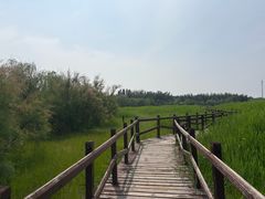 -西青郊野公园