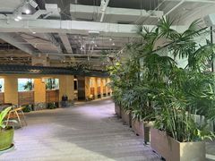 -大视光学•LINDBERG林德伯格•全球手工眼镜集合店(王府井店)
