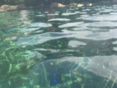 -新加坡水上探险乐园