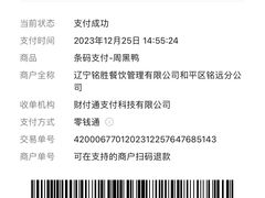 -周黑鸭(沈阳和平区太原街万达店)