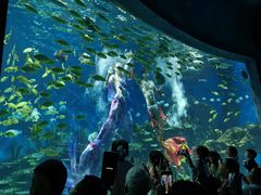 -海合安武汉极地海洋公园