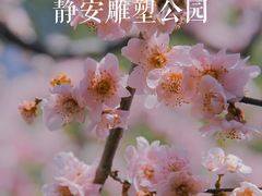 -静安雕塑公园